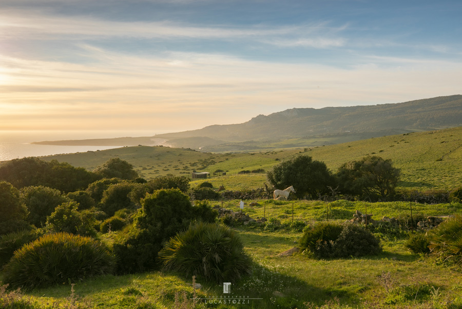 Playa de los Lances desde el campo